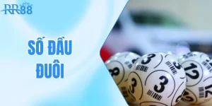 số đầu đuôi